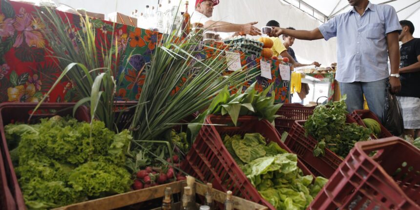 Decreto adia exigência de CNPJ para autônomos e produtores rurais