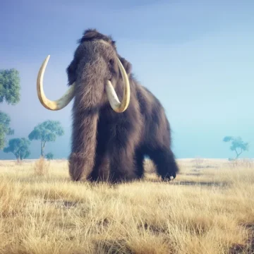 Holoceno: o que é, características, animais Holoceno: o que é, características, animais