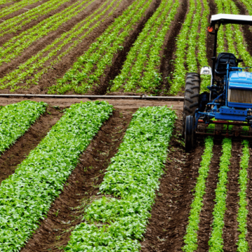 Área coberta pelo seguro rural subvencionado encolhe 77% em quatro anos
