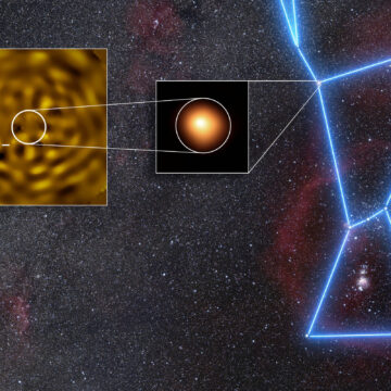Estrela Betelgeuse não está só, dizem astrônomos – 30/07/2026 – Ciência