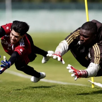 Flamengo descarta negociar goleiro com Wolves, time da Inglaterra Flamengo descarta negociar goleiro com Wolves, time da Inglaterra