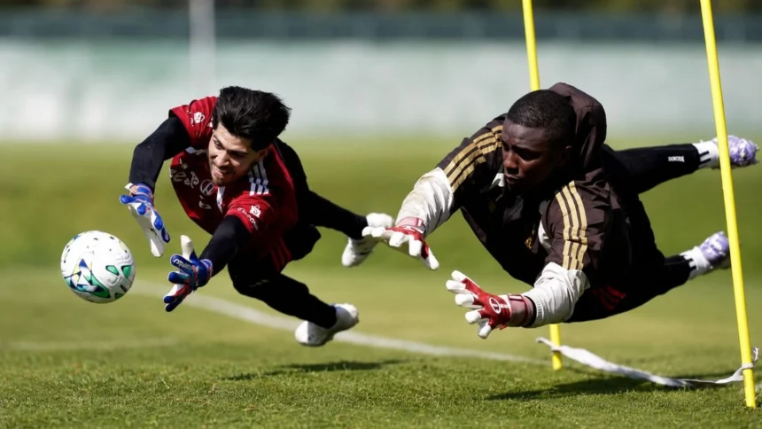 Flamengo descarta negociar goleiro com Wolves, time da Inglaterra