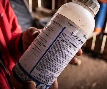 Intoxicação por agrotóxico banido na Europa salta 1100% em 8 anos