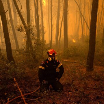 Incêndio florestal ameaça complexo turístico na Grécia - 01/08/2026 - Incêndio florestal ameaça complexo turístico na Grécia – 01/08/2026 – Ambiente