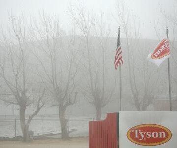 Tyson Foods: lucro ajustado do trimestre soma US$ 352 milhões Tyson Foods: lucro ajustado do trimestre soma US$ 352 milhões