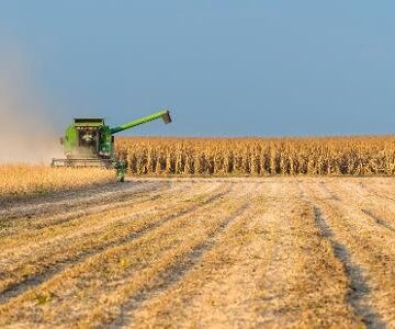 Guerras e El Niño vão aumentar preço dos alimentos, alerta FAO
