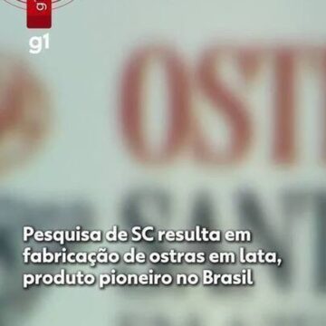 Produção pioneira no Brasil de ostra em lata tenta driblar instabilidades na maricultura e dar mais opções a turistas