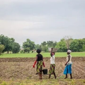 Grande Muralha Verde restaura 1,66 milhão de hectares