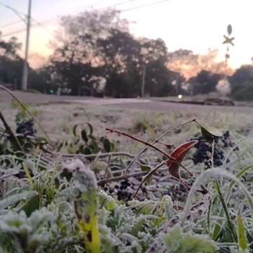 Frio no RS: termômetros podem marcar -1°C com previsão de geada em diversas regiões entre domingo e terça