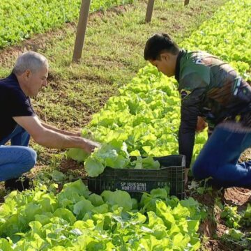 Família Roncoleta mantém tradição agrícola há cinco gerações em Getulina