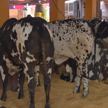 Expo Rio Preto atrai 50 mil visitantes na primeira semana