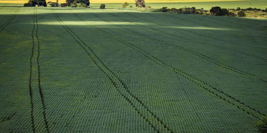 Senado aprova plano para fabricação de fertilizantes no Brasil