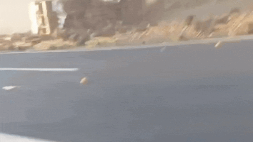VÍDEO: Trabalhadores retiram gestante e motorista de caminhão tombado com 17 toneladas de tomates na BR-050, em MG