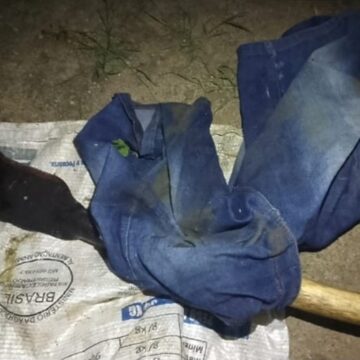Idosa é morta com golpes de foice em João Alfredo