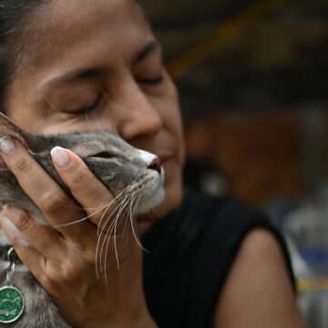 Sobreviventes reencontram animais de estimação após terremoto na Colômbia