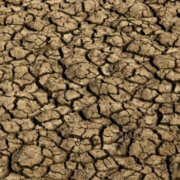 Risco de desertificação no Brasil ameaça segurança hídrica e alimentar