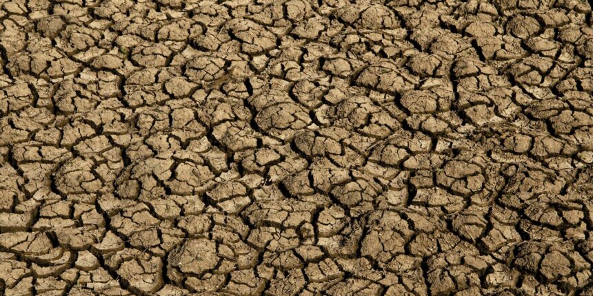 Risco de desertificação no Brasil ameaça segurança hídrica e alimentar