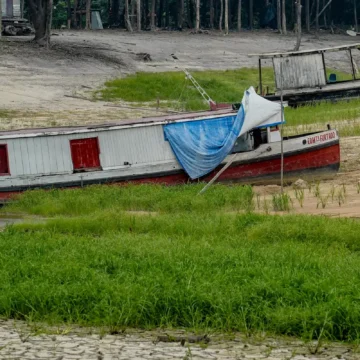 COP17 começa na Mongólia com foco em seca, terra e COP17 começa na Mongólia com foco em seca, terra e financiamento