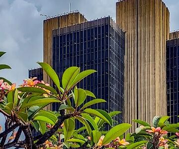 Perda de fôlego da economia abre espaço para corte maior dos juros em 2026