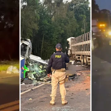 Veja imagens do acidente que deixou ao menos 23 mortos no Paraná