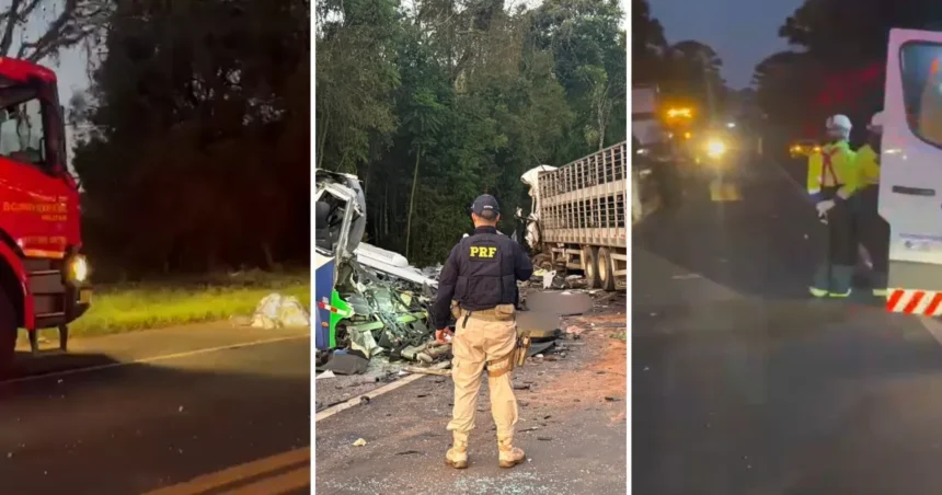 Veja imagens do acidente que deixou ao menos 23 mortos no Paraná