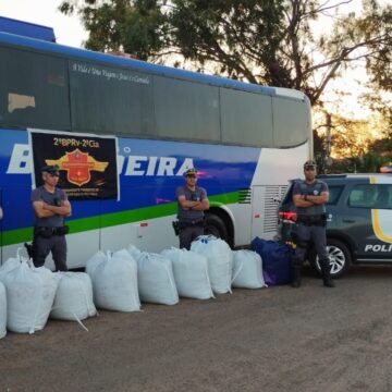 Polícia apreende mais de 300 kg de folhas de coca Polícia apreende mais de 300 kg de folhas de coca em rodovia do interior de SP