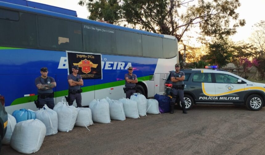 Polícia apreende mais de 300 kg de folhas de coca em rodovia do interior de SP