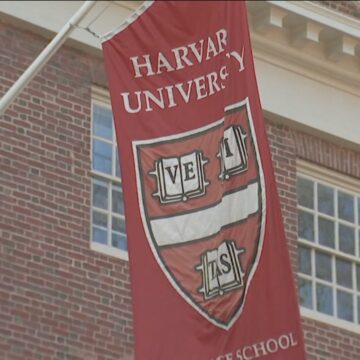 Cabeças, cérebros e mãos: escândalo de venda de partes de corpos leva Harvard a pagar indenização de R$ 275 milhões