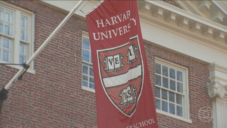 Cabeças, cérebros e mãos: escândalo de venda de partes de corpos leva Harvard a pagar indenização de R$ 275 milhões
