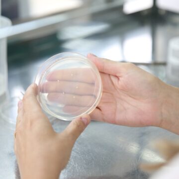 Alimentos editados geneticamente: o que são e o que dizem críticos e defensores