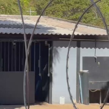 Morre veterinária atacada por pastor-belga do Senado em Brasília