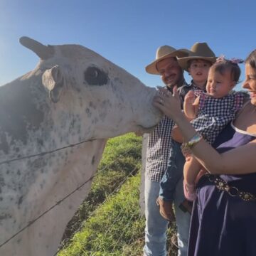 Bovinos influenciadores: conheça a vaca Leide e o touro Xerife