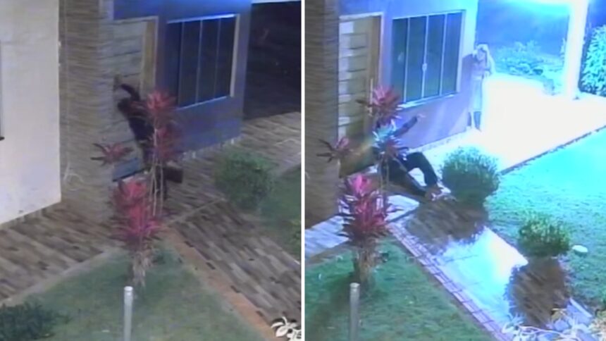 VÍDEO: mulher vai cambaleando até casa de vizinha para pedir ajuda após ser espancada pelo namorado com pedaço de madeira, no PR