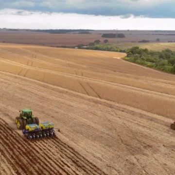 VBP do Paraná bate recorde e chega a R$ 213 bilhões em 2025