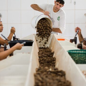 Consulta sobre bens sustentáveis no acordo Mercosul–UE acaba na quarta Consulta sobre bens sustentáveis no acordo Mercosul–UE acaba na quarta