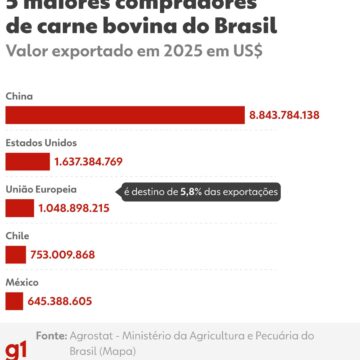 UE compra pouca carne do Brasil, mas paga mais e funciona como ‘vitrine’; saiba por que o veto preocupa