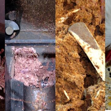 Restos de carne, gordura e até ossos que iriam para o lixo viram ração para outros animais no ES