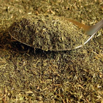 Sucralose e stevia afetam o metabolismo? Entenda novo estudo feito em ratos
