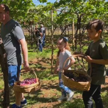 Cidades do noroeste paulista investem na experiência do campo para atrair visitantes