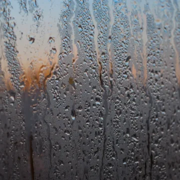 Roupa que não seca, casa mofada… como lidar com os efeitos do excesso de chuva?