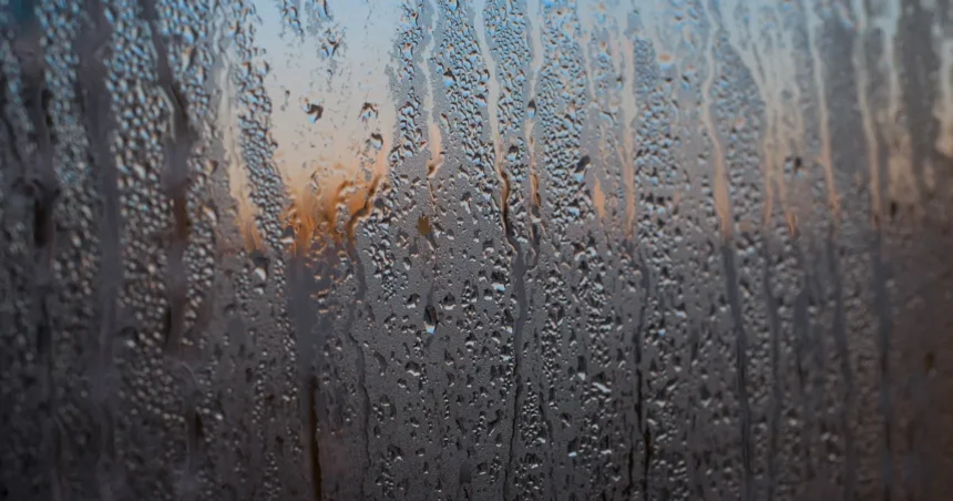 Roupa que não seca, casa mofada… como lidar com os efeitos do excesso de chuva?