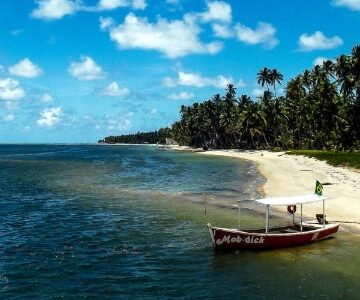 Vamos privatizar as praias (memórias do governo Bolsonaro)  