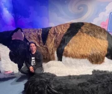1? Museu do Gato do mundo abre as portas no Novo México